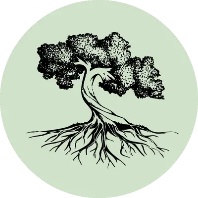 Achetez une fontaine à eau - Bordeaux - Magasin L'Ile de Kos - Centre de Bien Etre